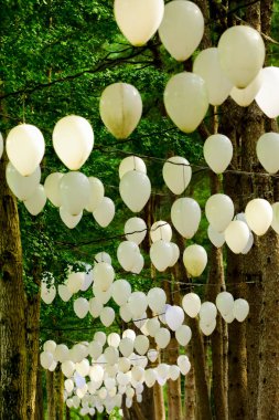 Namisum (namı ada), Chuncheon, Güney Kore ağaçta asılı balonlar