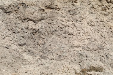 Biyo-elektrik enerji yakma için kuru şeker kamışı kullanımı