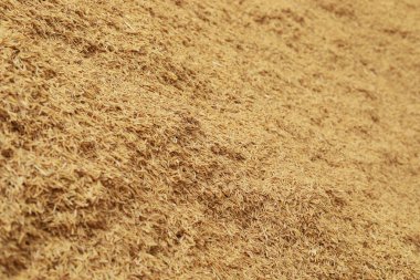 pirinç kabuğu doku arka plan.