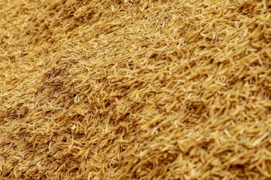 pirinç kabuğu doku arka plan.