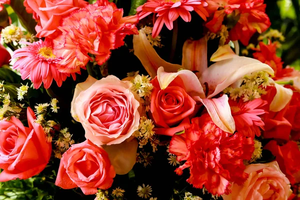 Roze Bloemen Voor Natuurlijke Achtergrond — Stockfoto