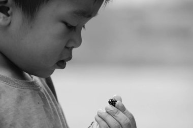 lezzetli yeme: genç çocuk çocuk meyve yeme