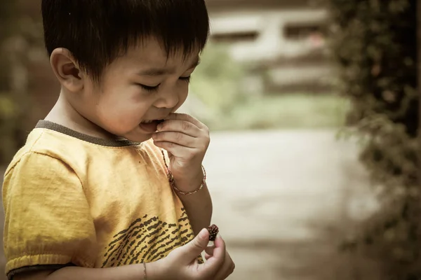 おいしい食べる 若い男の子が果物を食べる — ストック写真