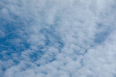 Mavi gökyüzü ve bulut doğal arka planı için