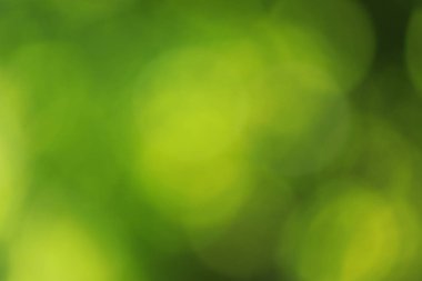 bokeh doğa arka plan bulanık yeşil