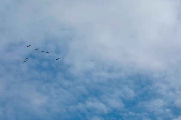 蓝蓝的天空和云为自然背景 — 图库照片