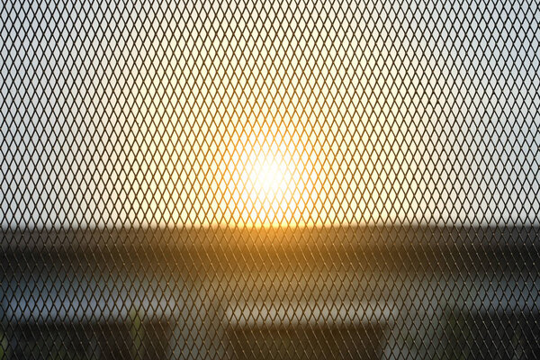 Nets Fence Yellow Flower Morning Background — Stock Photo, Image