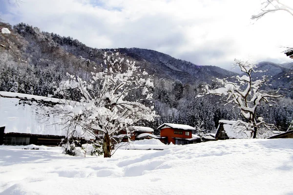 Shirakawago Japan Historiska Winter Village — Stockfoto