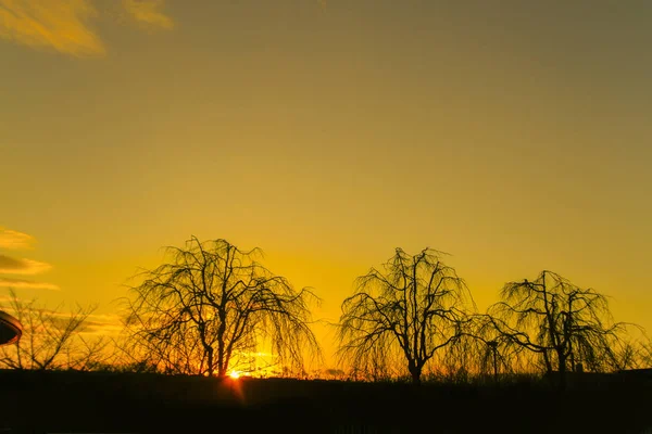 Pôr Sol Com Silhueta Árvore Para Fundo Natural — Fotografia de Stock