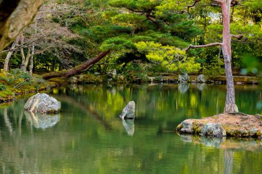 taş Japon tarzı bahçe gölet