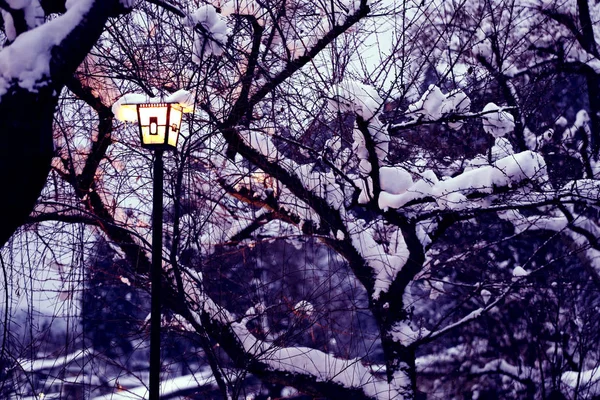 Snow Falling Street Lamp Pole — Stock Photo, Image
