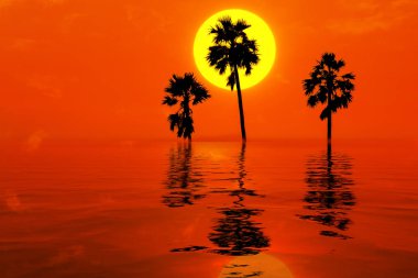 Üç palmiye ağaçları suya yansıyan. siluet arka plan