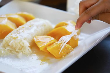 Mango ve yapışkan pirinç, tropikal tatlı Tay stil, yapışkan pirinç yemek Mango ile.