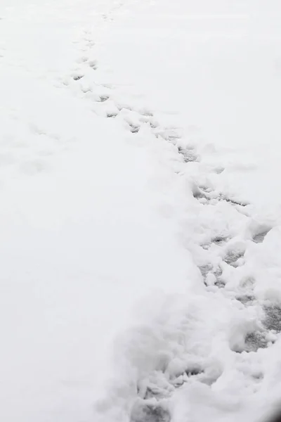 Voetafdruk Het Sneeuwveld — Stockfoto