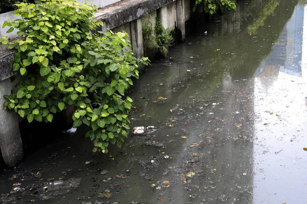 Vervuiling Van Het Milieu Rivier — Stockfoto