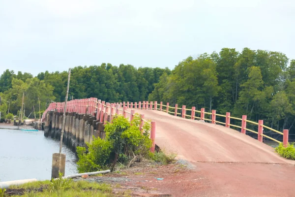 Ponte Concreto Marrom Avermelhado Velho Atravessar Área Pântano Localizado Província — Fotografia de Stock