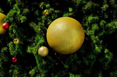 Ağaç dalı üzerinde Noel topları. Noel ağacı arka plan