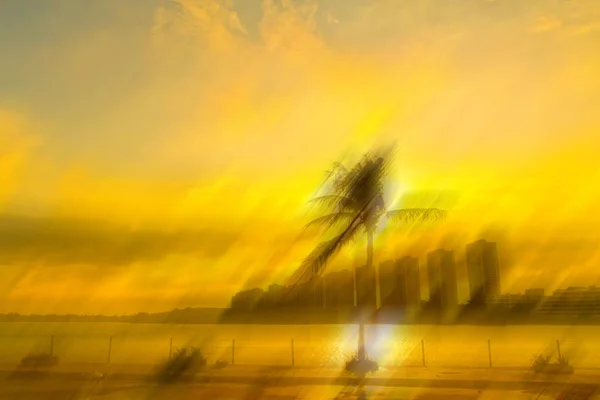 Abstrakter Hintergrund Der Silhouette Einer Kokospalme — Stockfoto