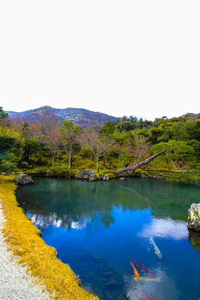 日本京都岚山天龙寺花园 — 图库照片