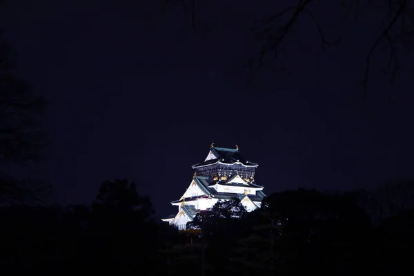 Castillo Osaka Noche Osaka Japón — Foto de Stock