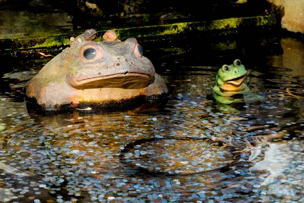 Munten Een Vijver Gegooid Voor Goed Geluk — Stockfoto