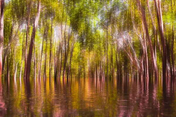 bir ormandaki bulanık orman soyut manzara.