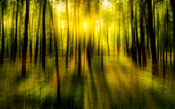 Blurred abstract background photo of natural forest with misty sun light shining out of the treetops with surreal motion blur effect