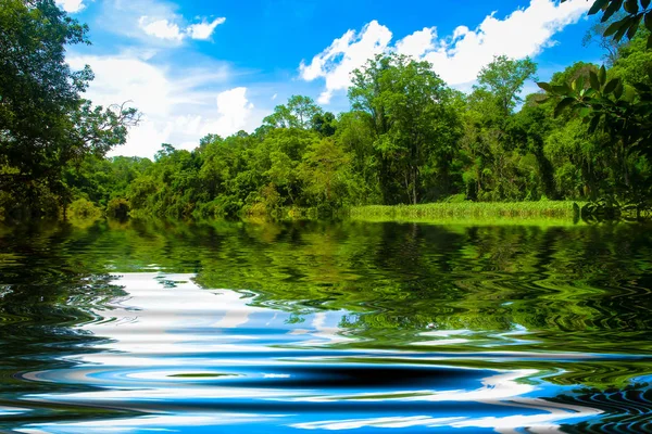 Belo Lago Parque Natural Com Refletindo Água — Fotografia de Stock