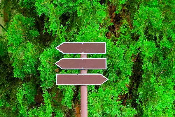 guide post with the green leaf background