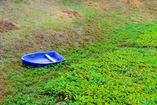 Bateau Plastique Intérieur Sans Étang Eau — Photo