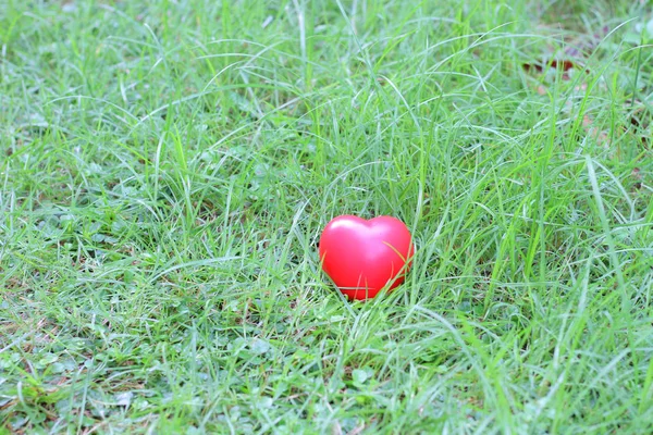芝生の上の赤いハートは孤独な愛に背景メタファーを抽象化または無視の行為は顧みられないこと バレンタインのシーズン コンセプト — ストック写真