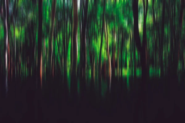 Verschwommene Wald Abstrakte Landschaft Einem Wald — Stockfoto