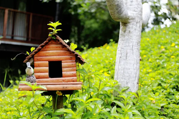 Pássaro Casa Madeira Pequeno Jardim — Fotografia de Stock