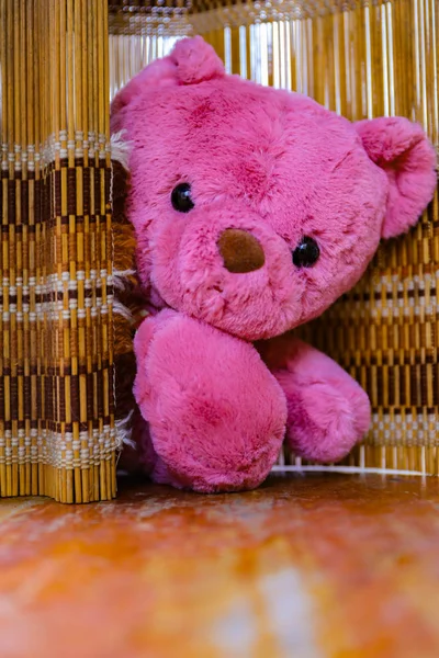 Lindo Oso Peluche Sobre Fondo Madera —  Fotos de Stock