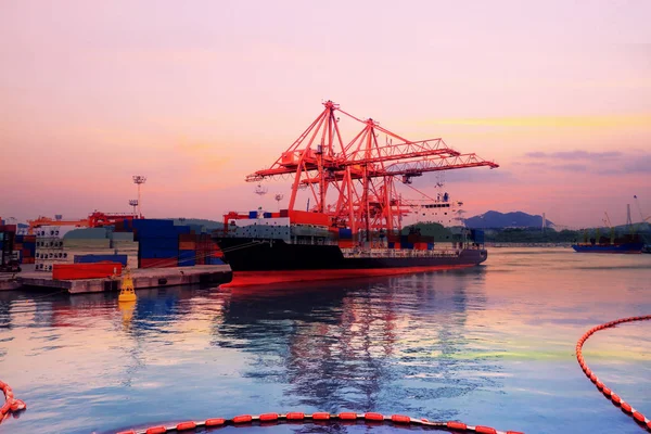 Konteyner kargo terminali kargo gemisi işlemleri Busan bağlantı noktası