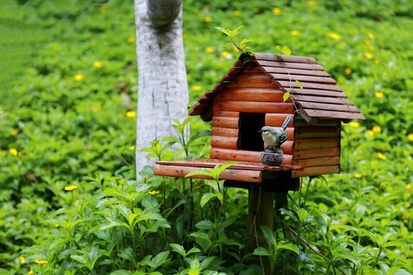 Maison Bois Oiseau Dans Petit Jardin — Photo