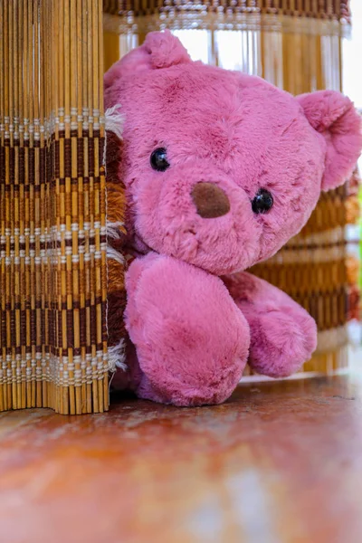 Cute Teddy Bear Wood Background — Stock Photo, Image