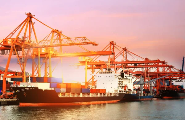 Frachtschiffbetrieb Auf Dem Containerterminal Des Hafens Von Busan Stockbild