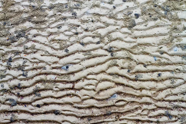 Sand Textur Nach Gezeiten Nahaufnahme Natur Hintergrund — Stockfoto