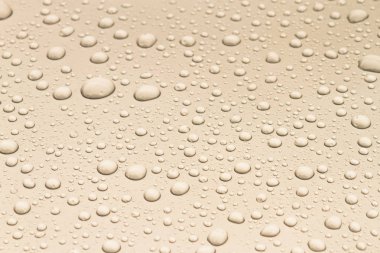 kat arka plan su damlaları