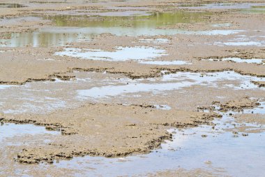 çamurlu zemin desen düşük gelgit sırasında
