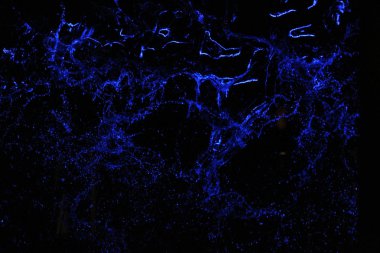 su akışı arka plan.