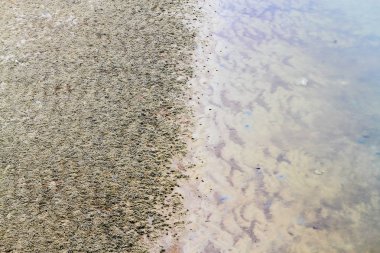 Gelgit, closeup doğa arka plan sonra kum doku