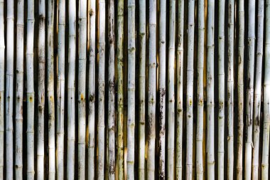 Bambu doku, closeup arka duvarına