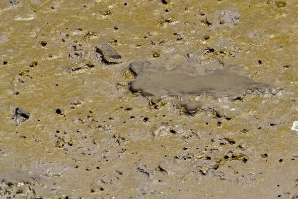 Padrão Terra Lamacenta Durante Maré Baixa — Fotografia de Stock