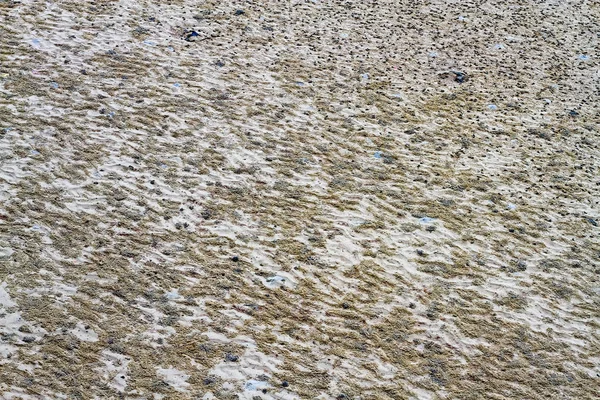 Sand Textur Nach Gezeiten Nahaufnahme Natur Hintergrund — Stockfoto