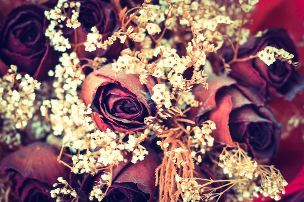 Trockene Rosen Vintage Stil Selektiver Fokus — Stockfoto