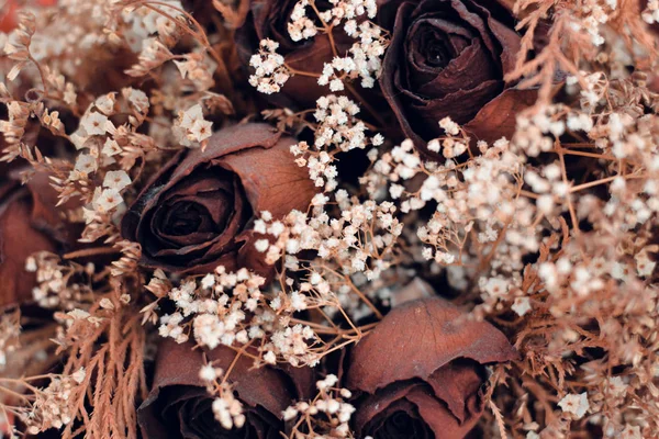 Dry roses in vintage style, selective focus