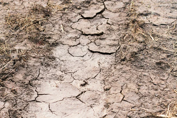 Trockener Boden Gebrochener Boden Rissig Bodenstruktur Hintergrund — Stockfoto
