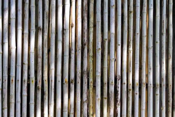 Zeď Bambus Textury Pozadí Closeup — Stock fotografie